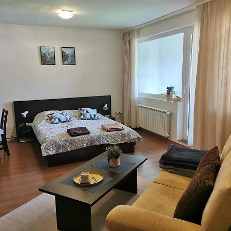 Sunny Studio Apartment - Few Steps From Gondola Bansko Extérieur photo