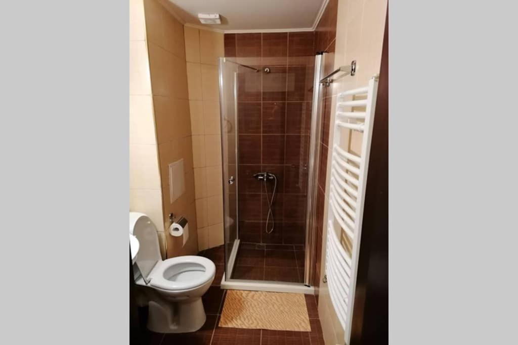 Sunny Studio Apartment - Few Steps From Gondola Bansko Extérieur photo