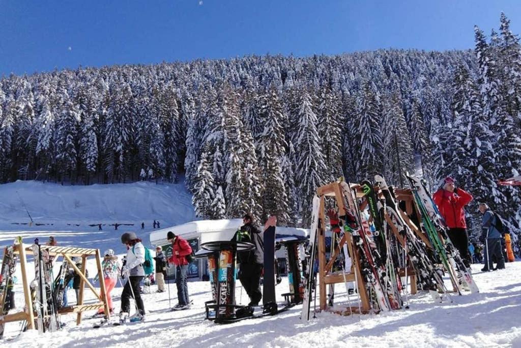 Sunny Studio Apartment - Few Steps From Gondola Bansko Extérieur photo
