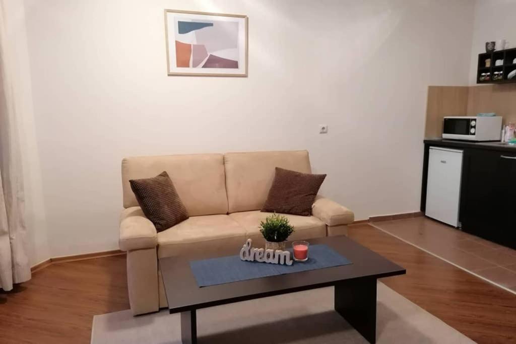 Sunny Studio Apartment - Few Steps From Gondola Bansko Extérieur photo