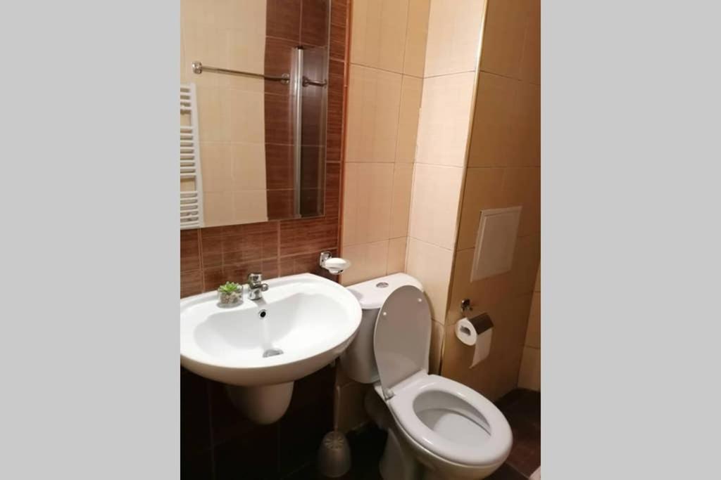 Sunny Studio Apartment - Few Steps From Gondola Bansko Extérieur photo