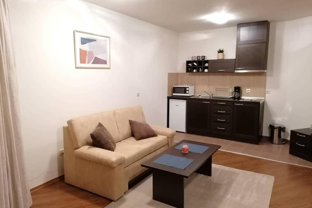 Sunny Studio Apartment - Few Steps From Gondola Bansko Extérieur photo