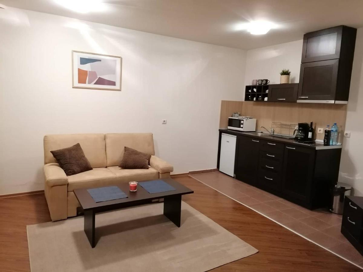 Sunny Studio Apartment - Few Steps From Gondola Bansko Extérieur photo