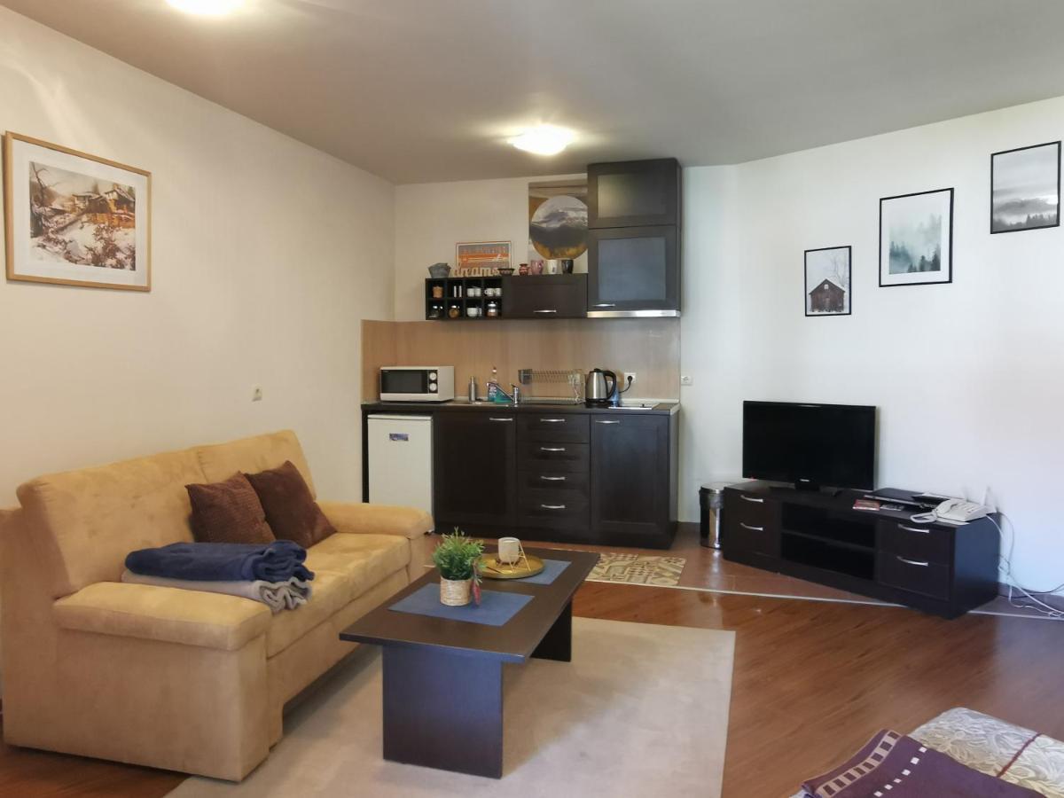 Sunny Studio Apartment - Few Steps From Gondola Bansko Extérieur photo