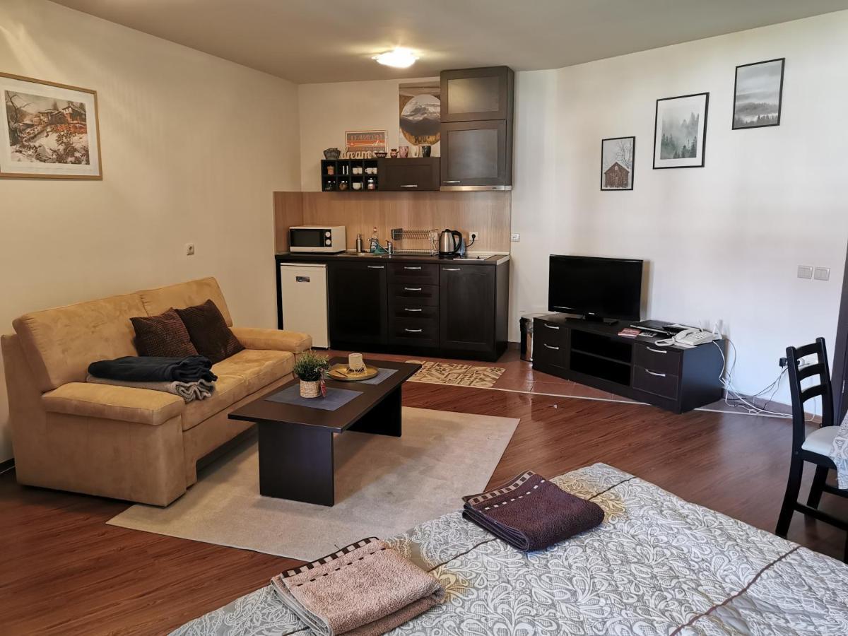Sunny Studio Apartment - Few Steps From Gondola Bansko Extérieur photo